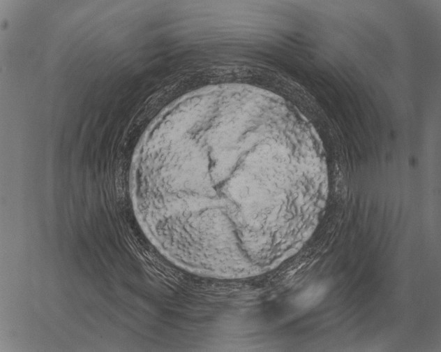 X0000062140819200601060921