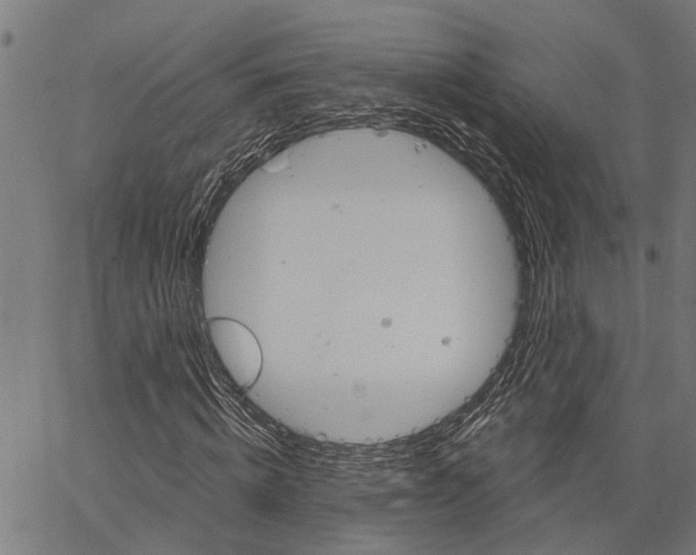 X0000062140820200601060921