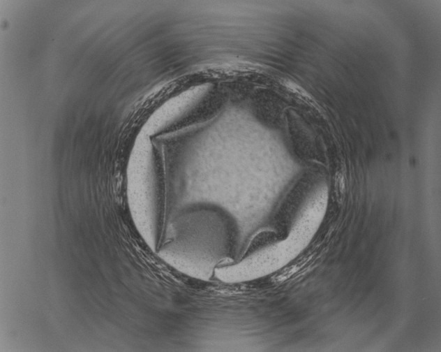 X0000062140822200601060921