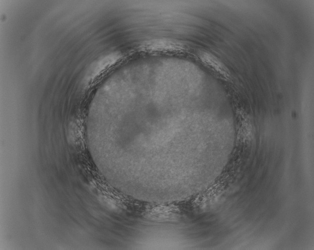 X0000062140824200601060921