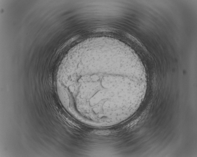 X0000062140825200601060921