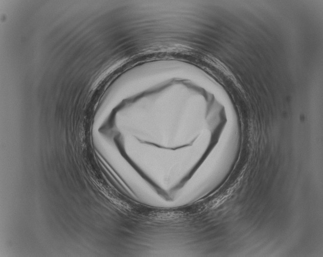 X0000062140826200601060921