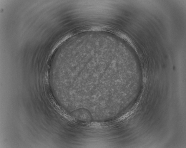 X0000062140827200601060921