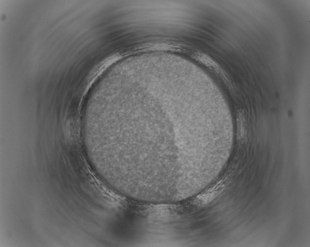 X0000062140828200601060921