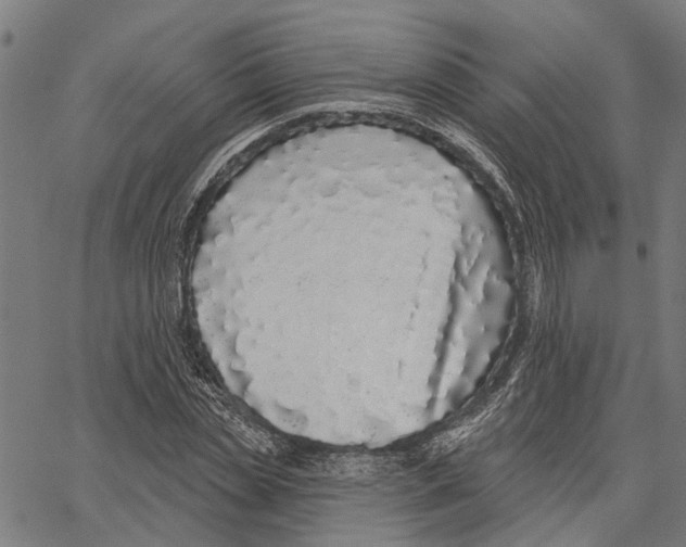 X0000062140829200601060921