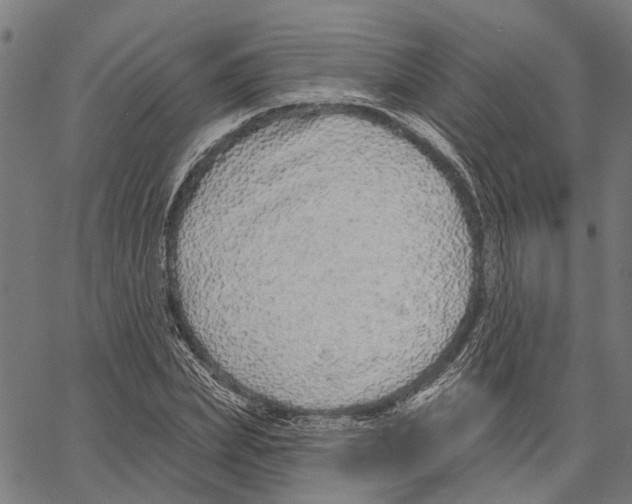 X0000062140831200601060921