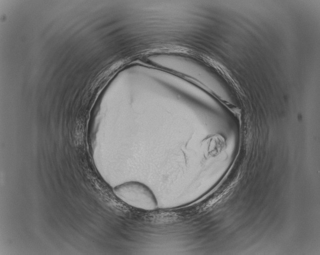 X0000062140833200601060921