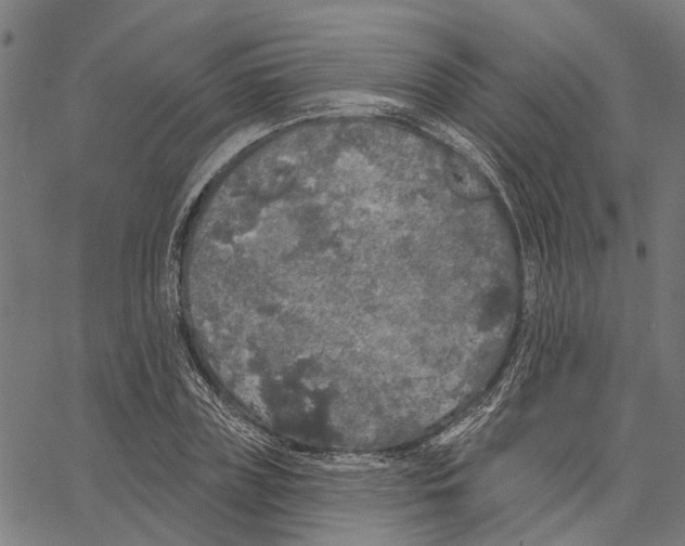 X0000062140835200601060921