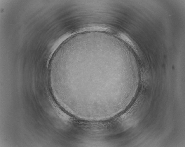 X0000062140836200601060921