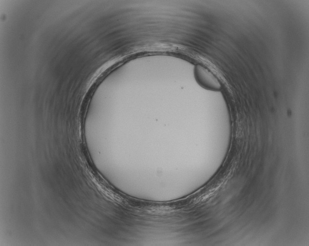 X0000062140837200601060921