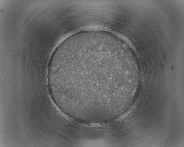 X0000062140839200601060921