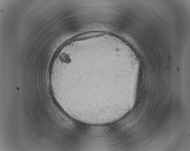 X0000062140840200601060921