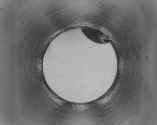 X0000062140841200601060921