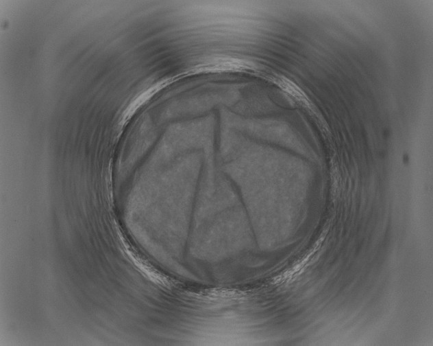 X0000062140842200601060921