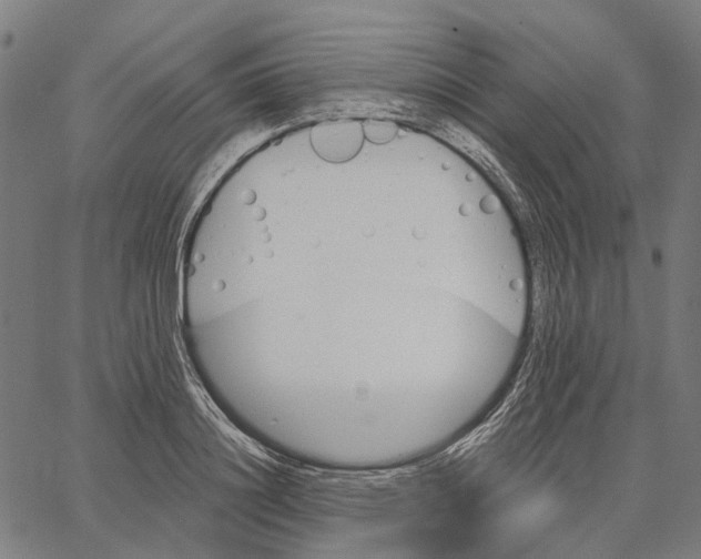 X0000062140844200601060921