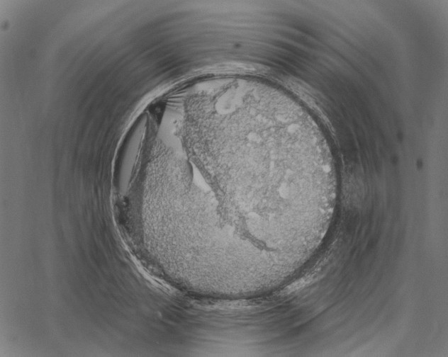 X0000062140845200601060921