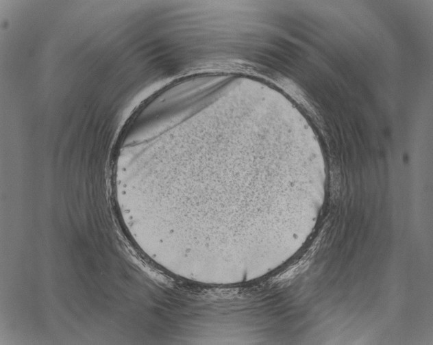 X0000062140846200601060921