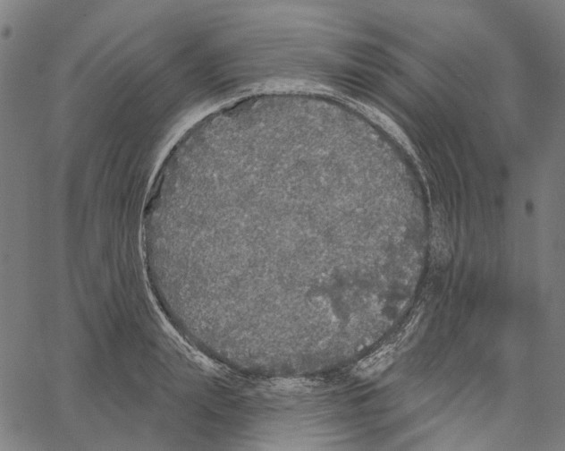 X0000062140847200601060921