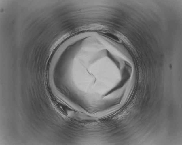 X0000062140850200601060921