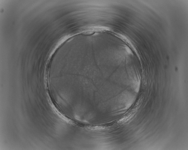 X0000062140851200601060921