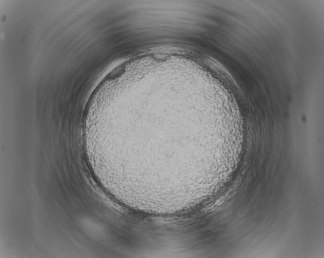 X0000062140852200601060921