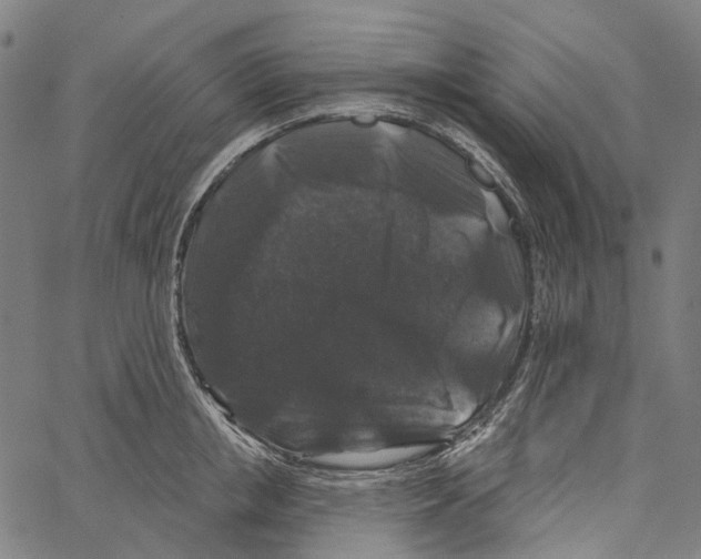 X0000062140853200601060921