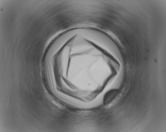 X0000062140854200601060921