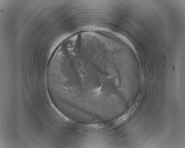 X0000062140855200601060921