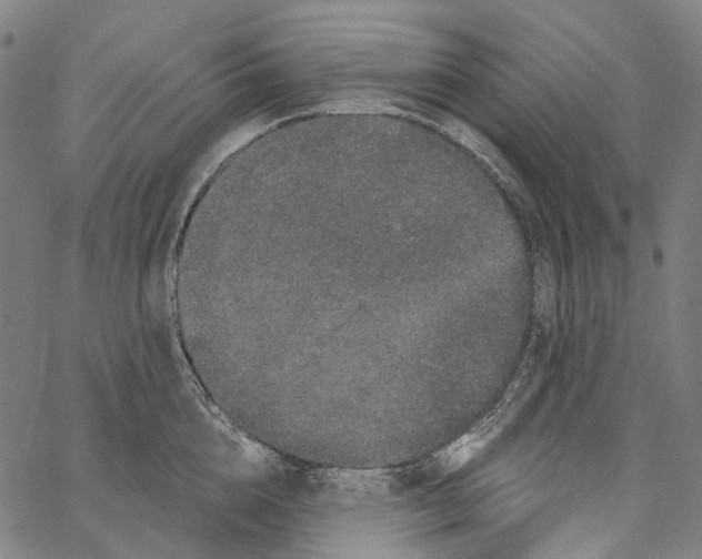 X0000062140856200601060921