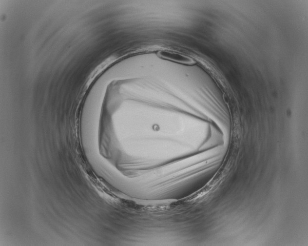 X0000062140858200601060921