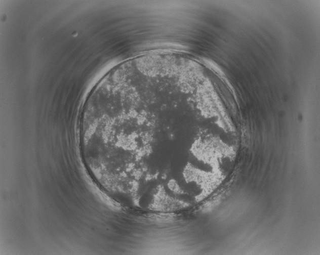 X0000062140859200601060921