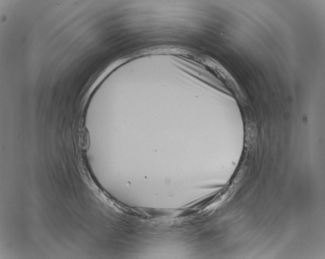 X0000062140860200601060921