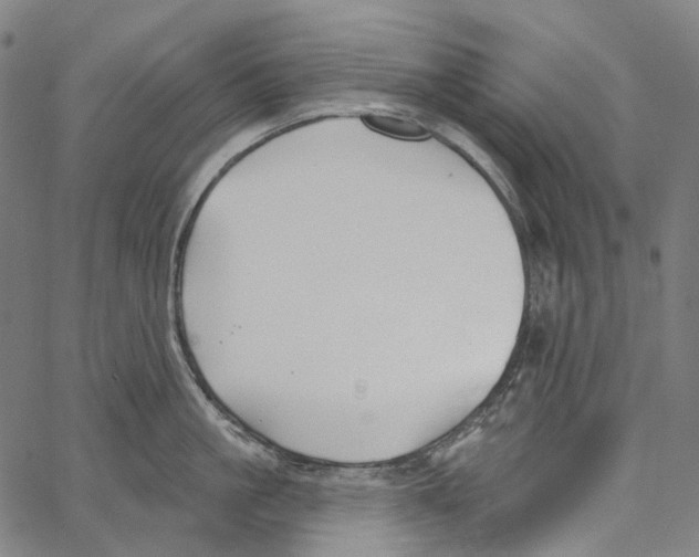 X0000062140861200601060921