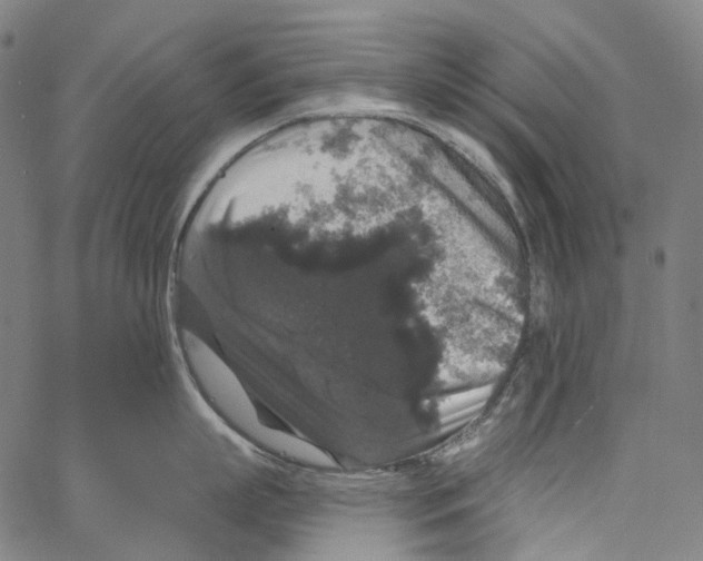 X0000062140863200601060921