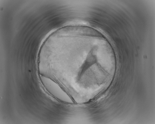 X0000062140864200601060921