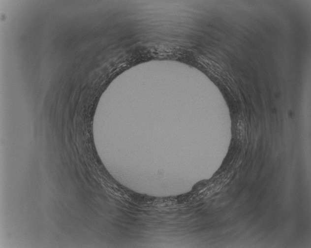 X0000062140865200601060921