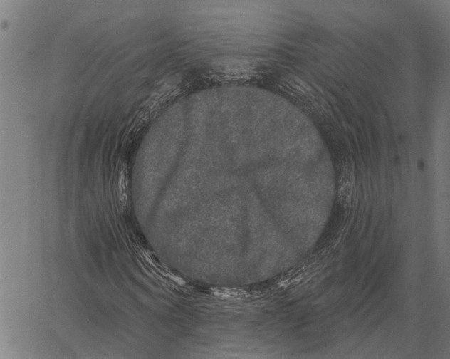 X0000062140866200601060921