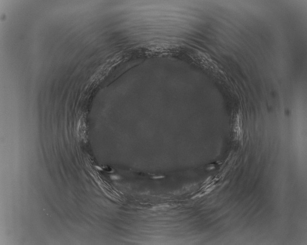 X0000062140868200601060920