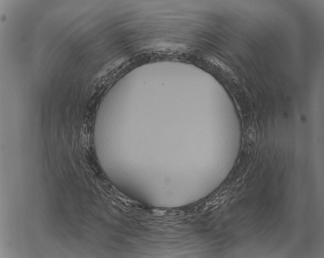 X0000062140869200601060920