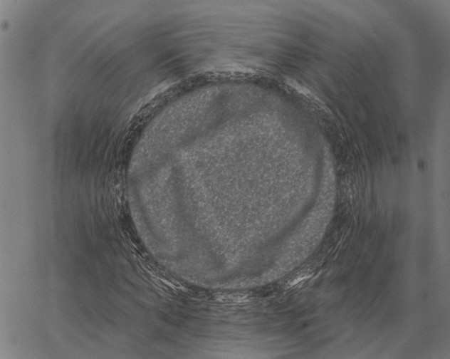 X0000062140870200601060920