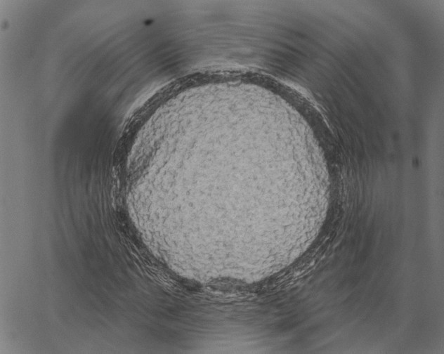 X0000062140871200601060920