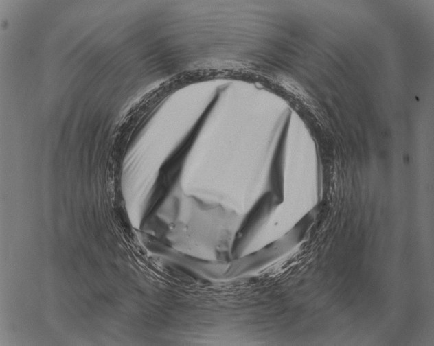 X0000062140872200601060920