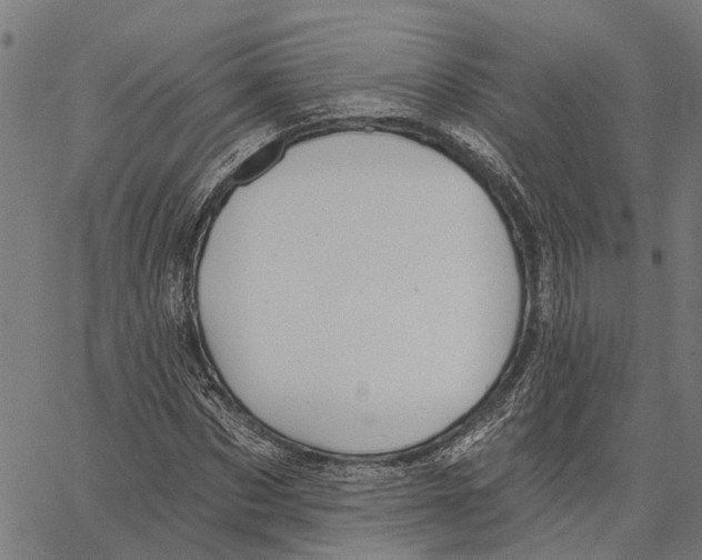 X0000062140873200601060920