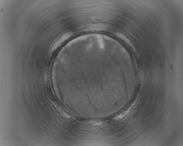 X0000062140874200601060920