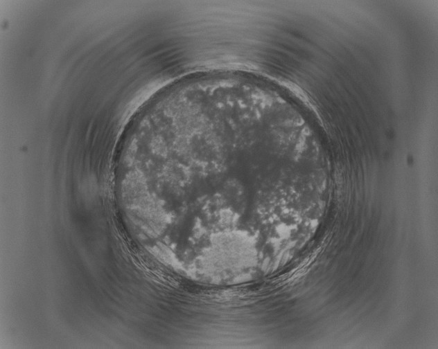 X0000062140879200601060920