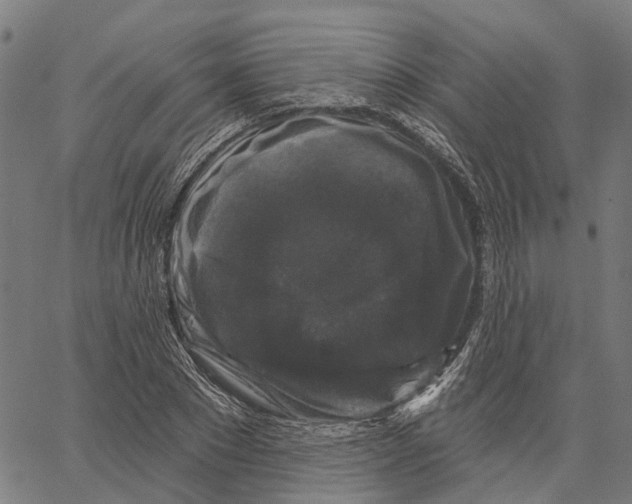 X0000062140881200601060920