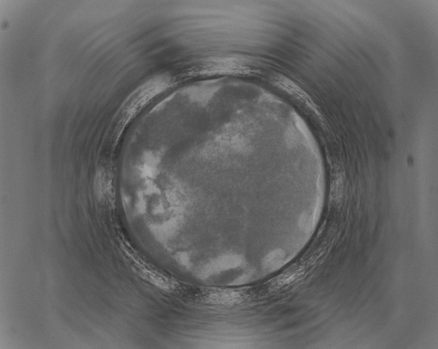 X0000062140882200601060920