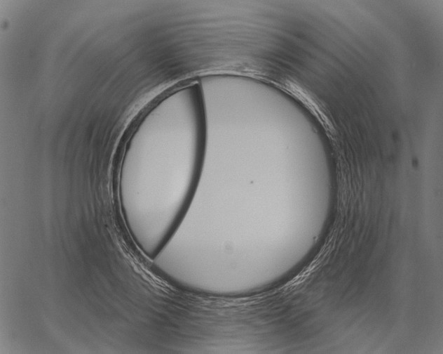 X0000062140884200601060920