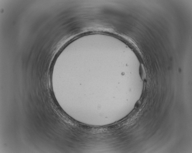 X0000062140887200601060920