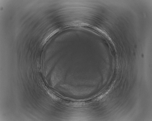 X0000062140889200601060920